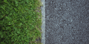Hardscaping vs. Softscaping: Understanding the Balance in Landscape Design