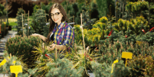 How to Choose the Right Plants for Your Climate