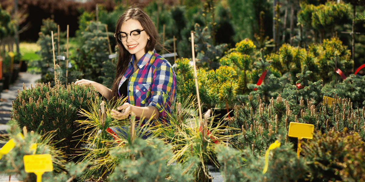 How to Choose the Right Plants for Your Climate