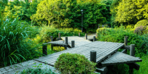 Top Landscaping Trends in 2026