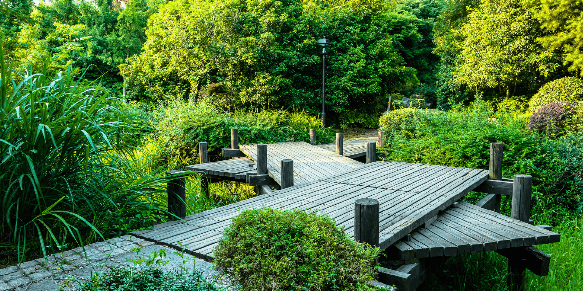 Top Landscaping Trends in 2026